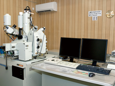 WDS/EDS electron beam microanalyzer